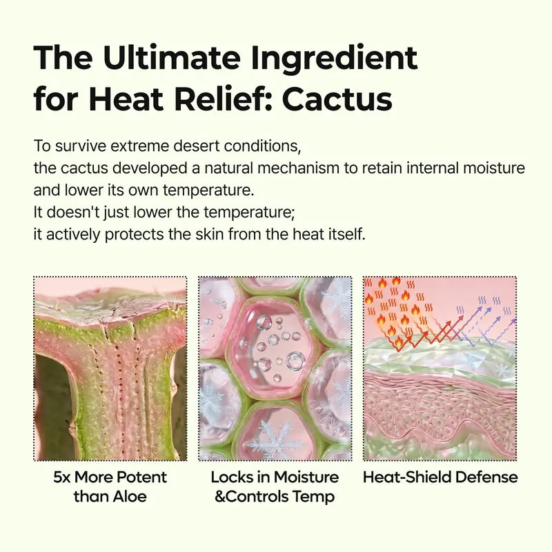 Cooling Pore Relief Balm – Instant Cactus Cryo-Therapy For 3-Second Pore Tightening & Depuffing