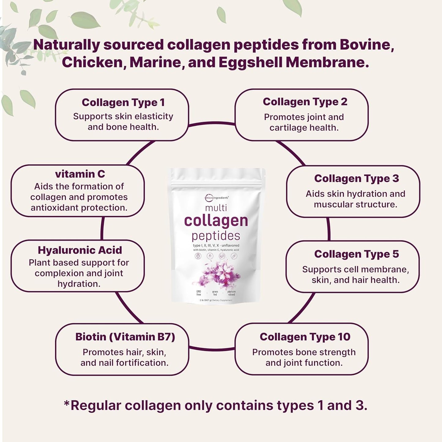 Multi Collagen Peptides Powder for Skin, Hair, Nails & Joints