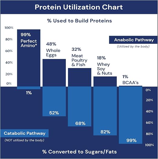 Essential Amino Acid Tablets for Fast Muscle Recovery and Lean Zero-Calorie Growth Support